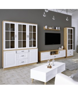 WITYNA+KOMODA RTV+ WITRYNA DENVER MDF 100 cm